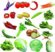 2026食堂承包学校工场企业病院单元食堂承